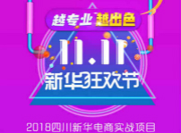 <b>越專業(yè)，越出色|嗨爆雙十一！四川新華電腦學院電商合作項目突破1億！</b>