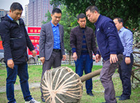 <b>植樹(shù)節(jié)，在夢(mèng)想的地方栽下希望的綠色！</b>