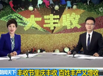 <b>互聯(lián)網(wǎng)時(shí)代 新華電腦成功學(xué)子如何開辟“互聯(lián)網(wǎng)+農(nóng)業(yè)”的新天地</b>