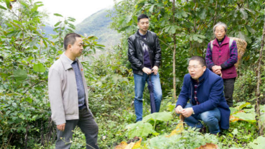 <b>新華教師奮進(jìn)擔(dān)當(dāng)，用技能脫貧托舉希望</b>