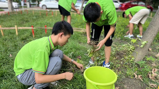 <b>豐收季來襲！新華農(nóng)場喜迎豐收季~</b>
