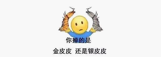 最近刷屏的“皮皮蝦”你知道是什么梗嗎？來，走起