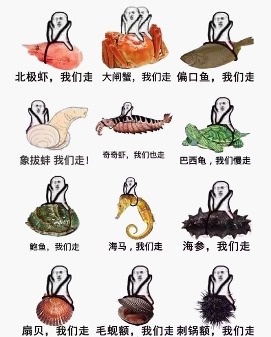 最近刷屏的“皮皮蝦”你知道是什么梗嗎？來，走起