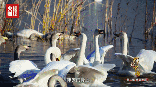 喜迎十九大，國(guó)力強(qiáng)盛人民歡慶