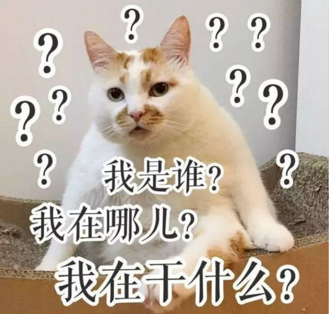 雙十一最新熱詞出爐，快來看看你有沒有中槍？