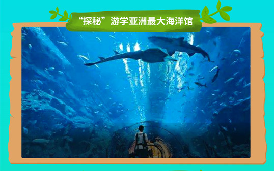 五一去哪兒？新華IT夏令營嗨爆小長假！