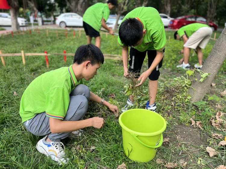豐收季來襲！新華農(nóng)場(chǎng)喜迎豐收季~