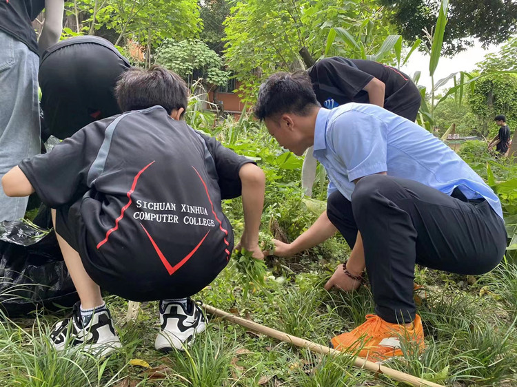 就業(yè)不迷茫！把孩子交給新華，您就放心吧