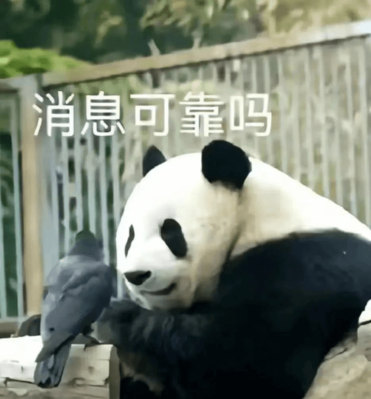 對口高考:升學(xué)壓力低,還可以沖本科